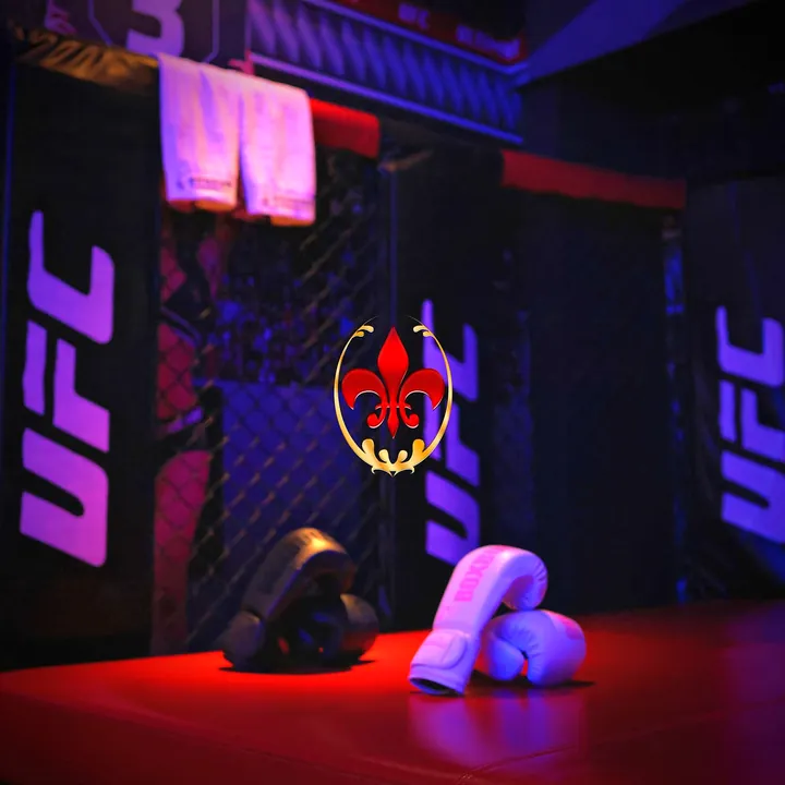 UFC octagon fighting themed room